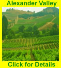 Wine Country Tours Logo