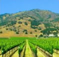 Russian Valley