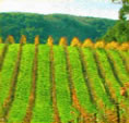 Livermore Valley