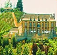 Napa Valley